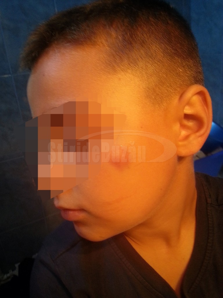 copil vanataie
