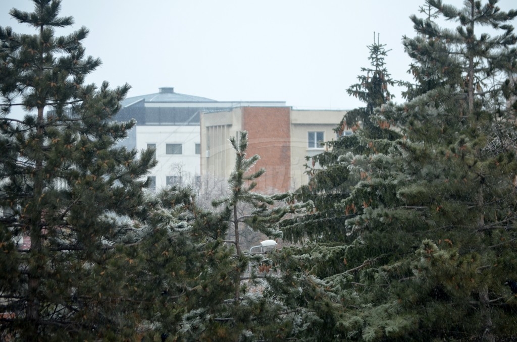 DSC_0041