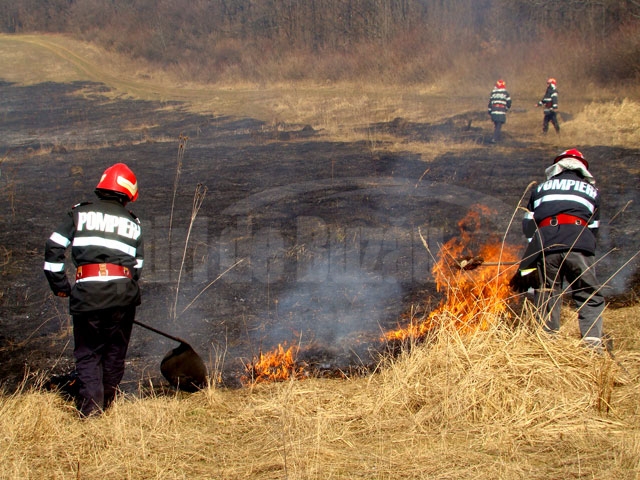 Incendiu de vegetație uscată, pe 15 hectare, în zona Vulcanilor Noroioși