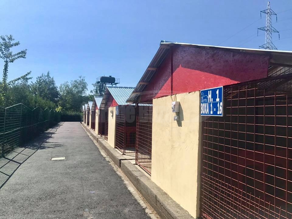 Noul adăpost pentru câinii comunitari a fost inaugurat
