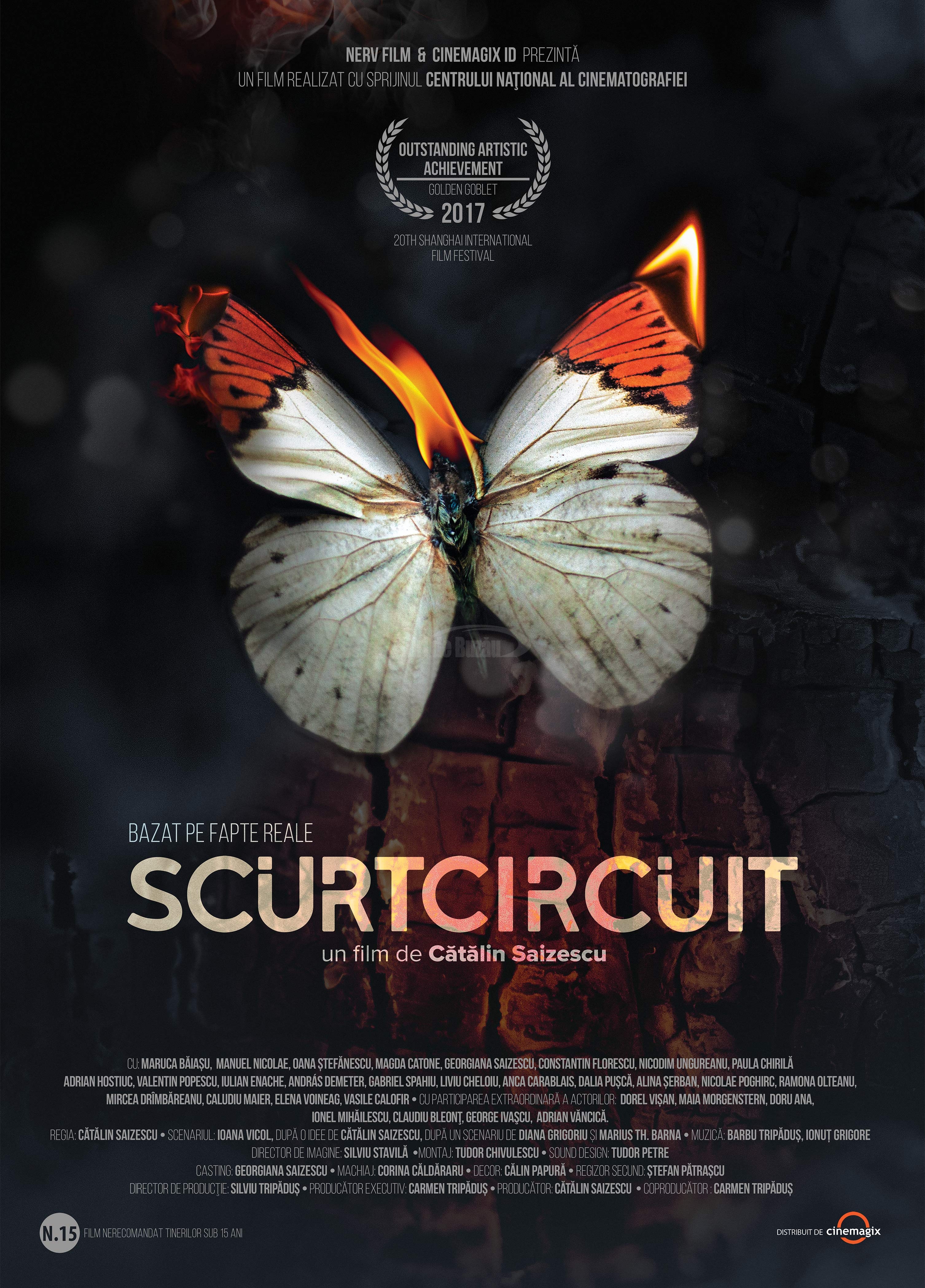 SCURTCIRCUIT_50x70_-var-5-lauri-