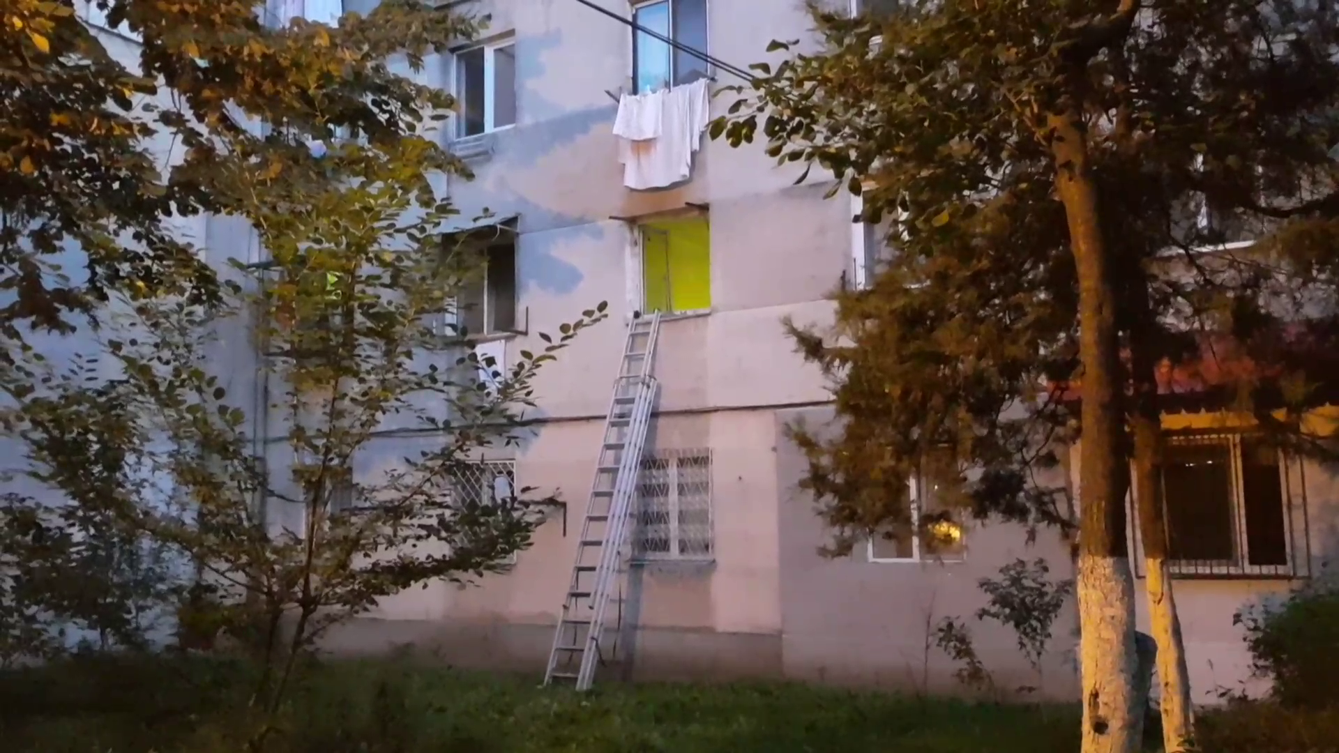VIDEO Șobolanii au scos din case, duminică seara, zeci de locatari din Micro 14