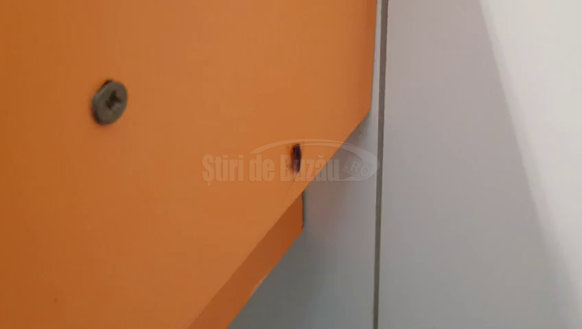 VIDEO Bucureştean uluit de gândacii din toaleta unui mall din Buzău