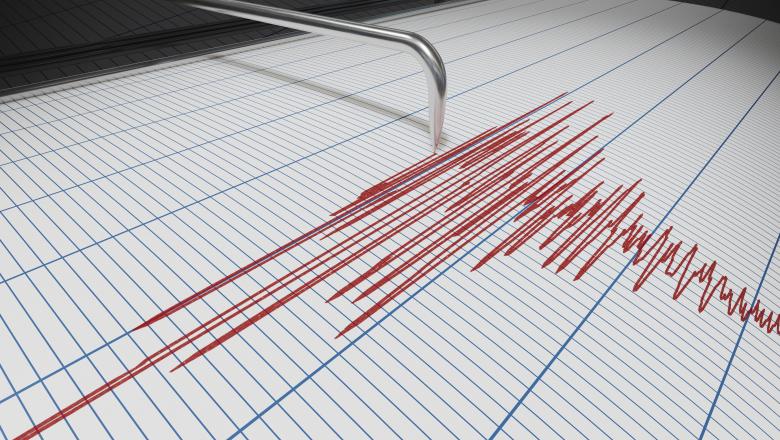 Cutremur de peste 5 grade pe Richter, resimțit la Buzău, vineri la ora 03.26