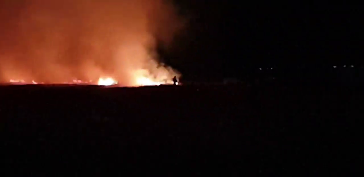 VIDEO Incendiu puternic de vegetație uscată, lângă saivane cu sute de ovine