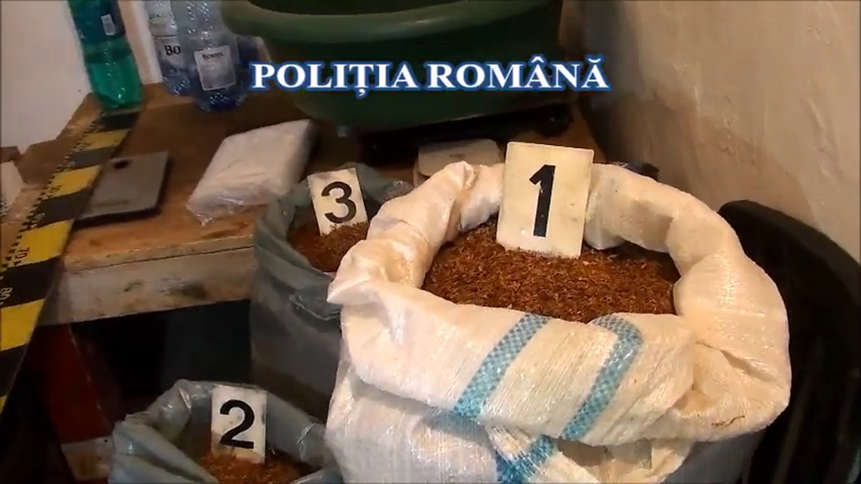 VIDEO Fabrică ilegală de țigări, descoperită în Buzău. Șase persoane implicate în afacere au fost reținute