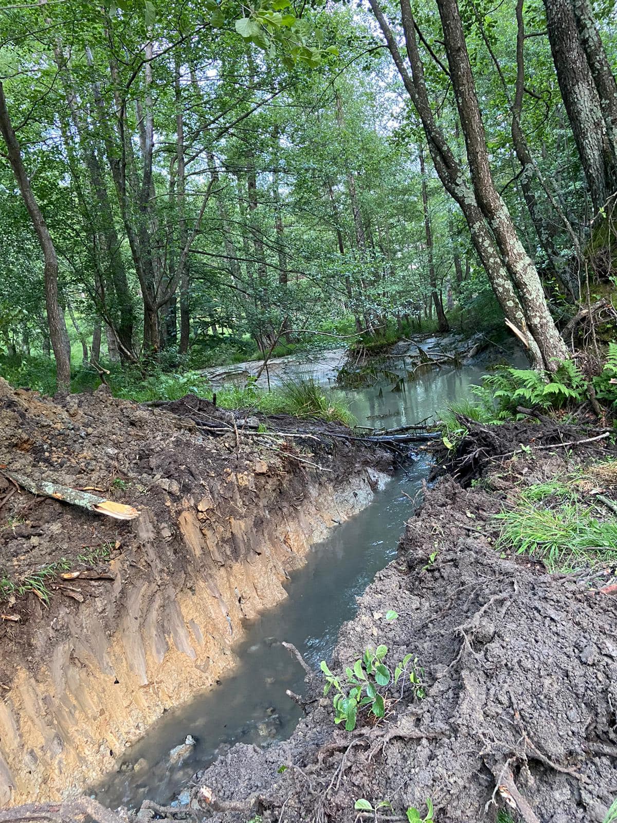 Autoritățile au deviat cursul unui izvor, pentru a încetini alunecările din Bâsca Rozilei. Sunt afectate zeci de hectare de pășune și pădure