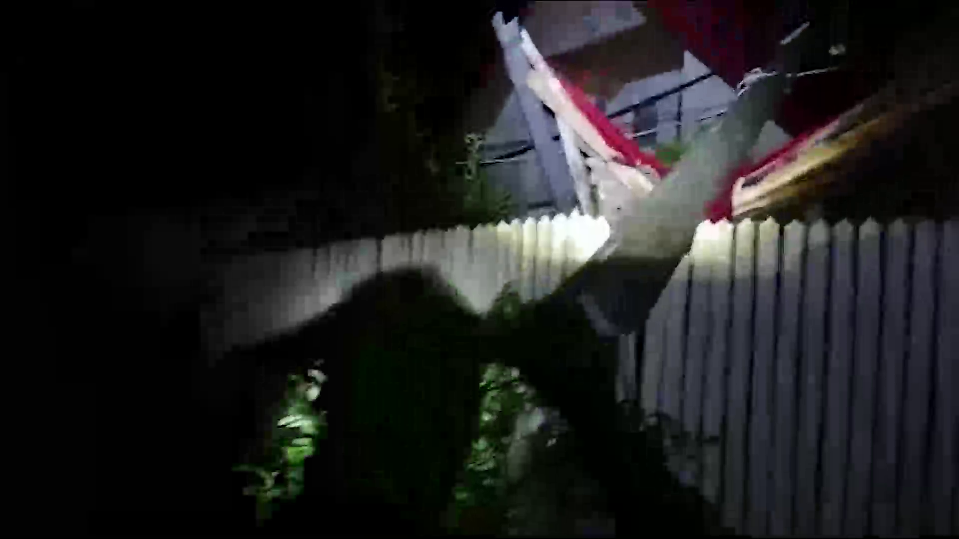 VIDEO Un copac retezat de un trăsnet a tras un stâlp de electricitate după el