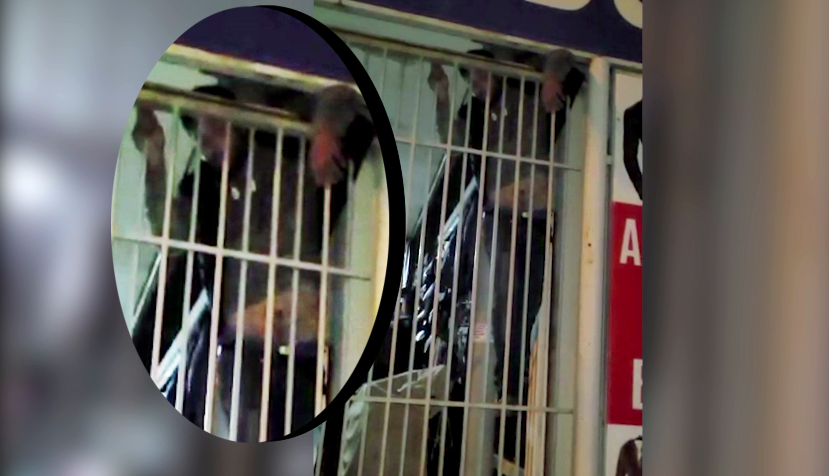 VIDEO Un hoț a rămas cu mâna prinsă într-un grilaj și a fost nevoit să strige după ajutor