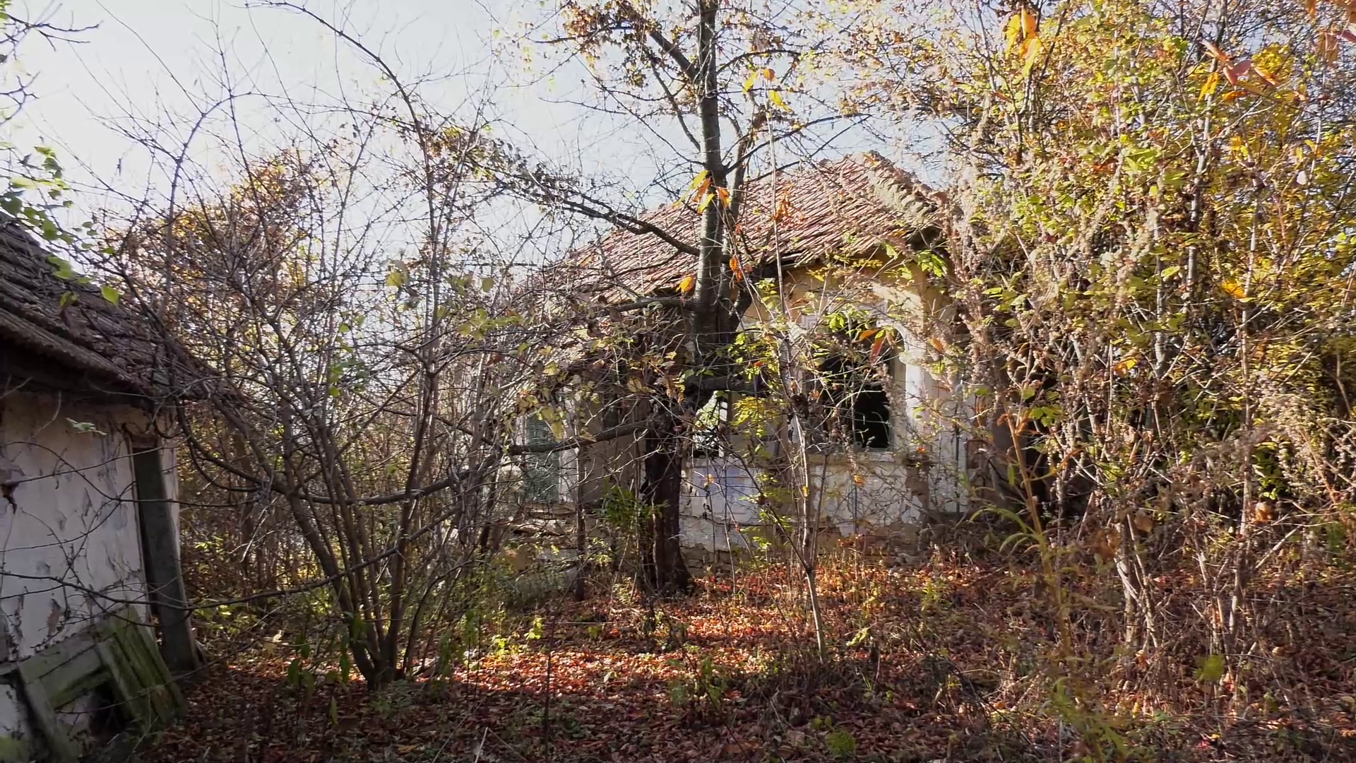 VIDEO Viața într-un cătun izolat din Munții Buzăului, cu opt suflete
