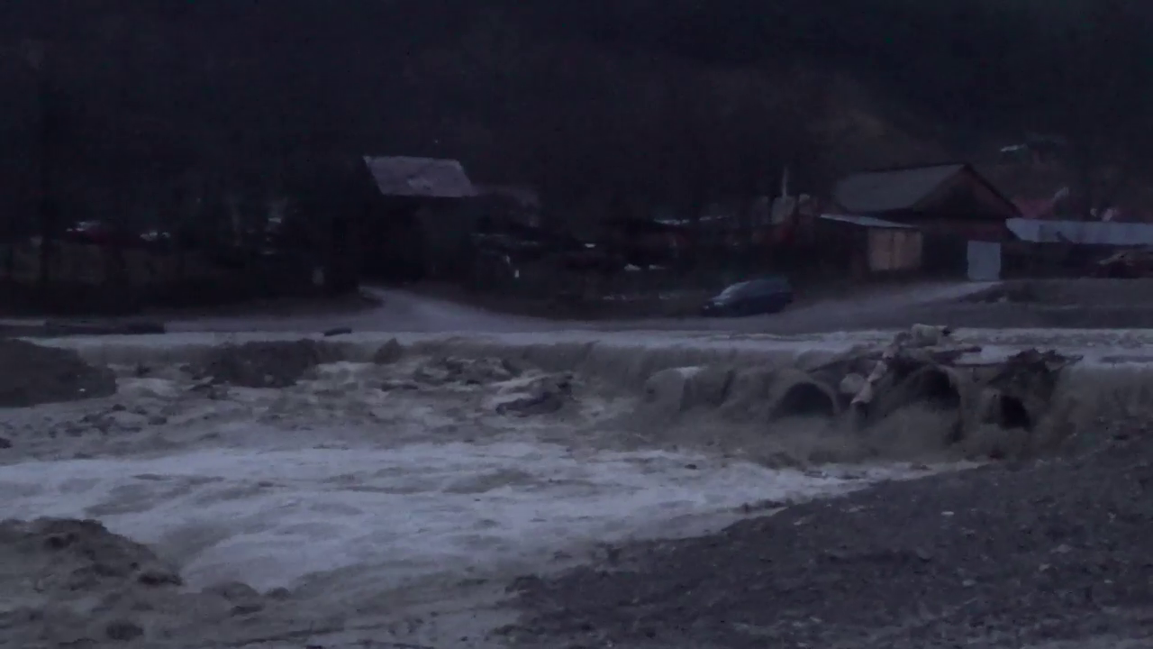 VIDEO Cel mai curajos cățel. A traversat o punte din tuburi în timpul unei viituri