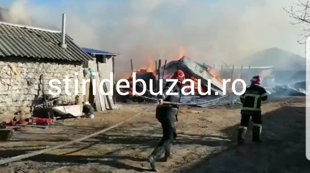 VIDEO Gospodărie din comuna Merei, distrusă de un incendiu violent