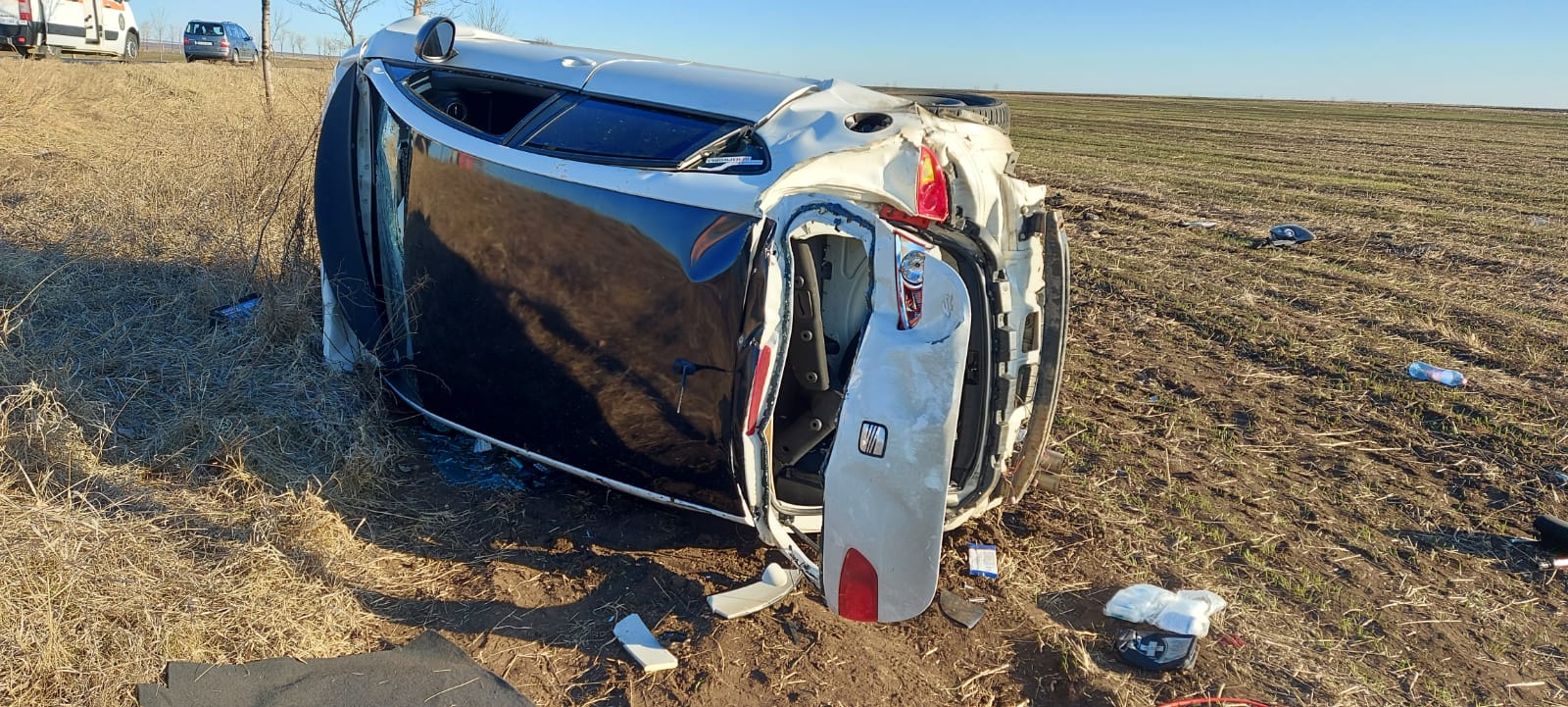 Accident pe E85. Patru oameni au fost la un pas de moarte, din cauza unui câine apărut pe șosea