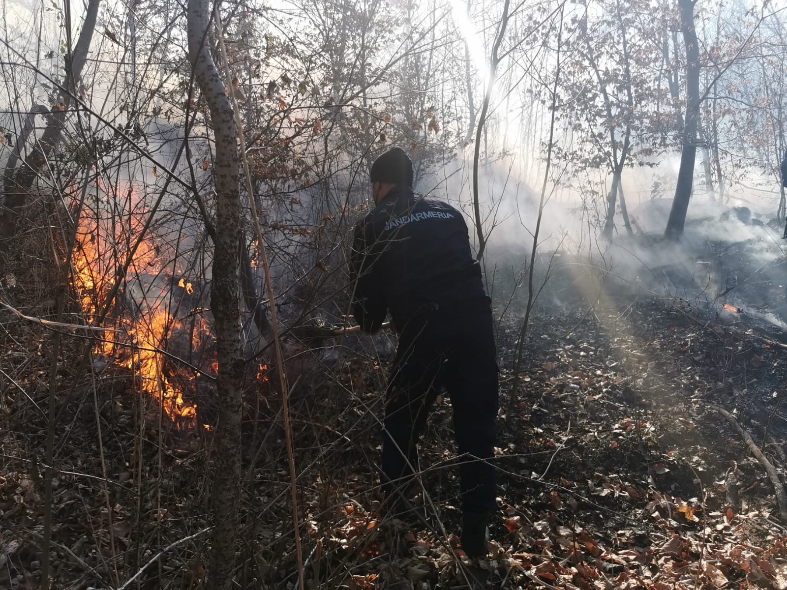 VIDEO Incendiul de vegetație uscată de la Cislău, stins după nouă ore de la izbucnirea lui