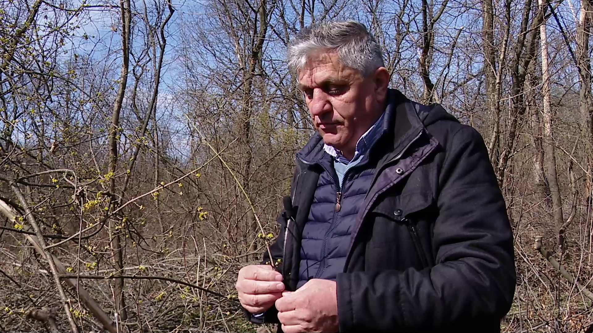 VIDEO Frigul din martie, spaima fermierilor. Temperaturile scăzute amenință mai ales pomii fructiferi