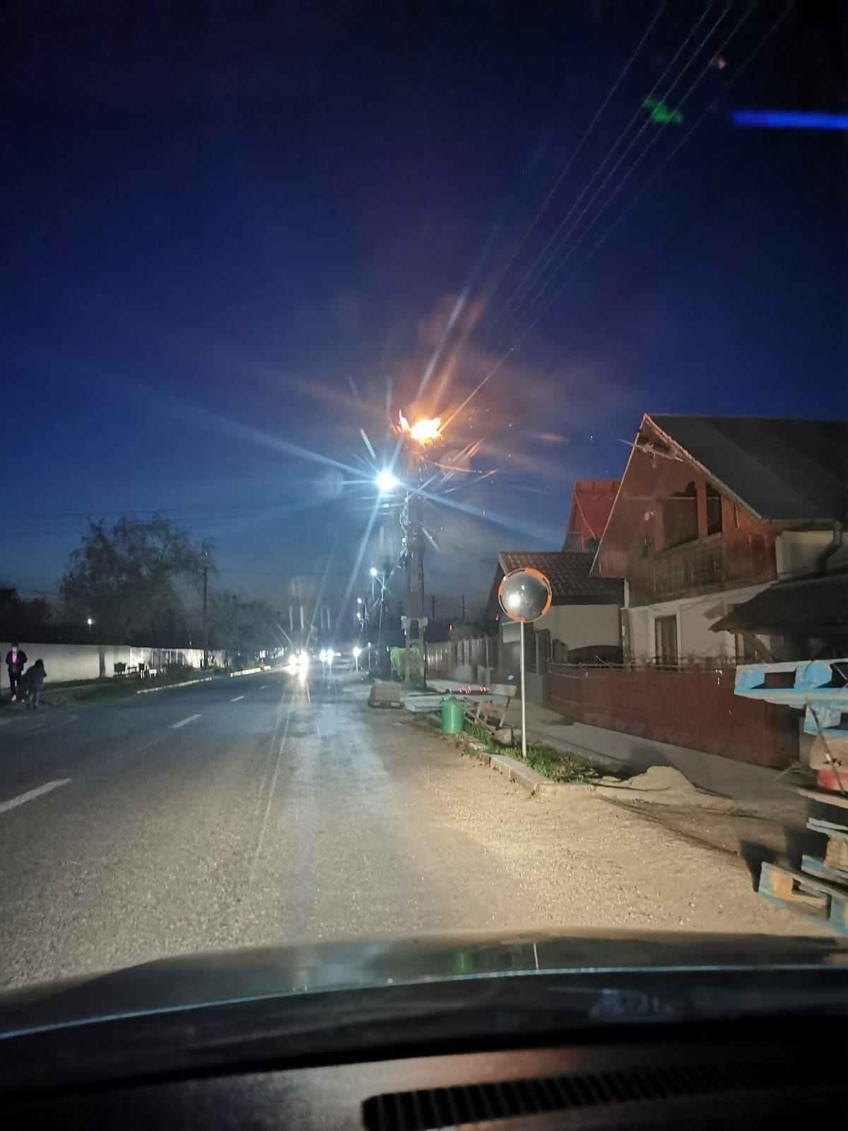 VIDEO Barză surprinsă în mijlocul cuibului mistuit de flăcări