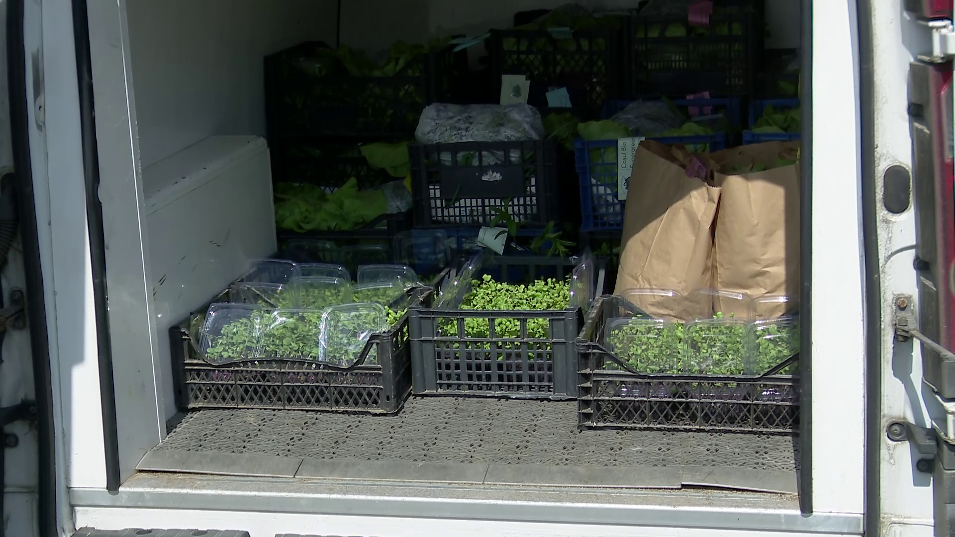 Legume bio livrate la domiciliu, prin plata unui abonament. Solariile se găsesc în Pătârlagele