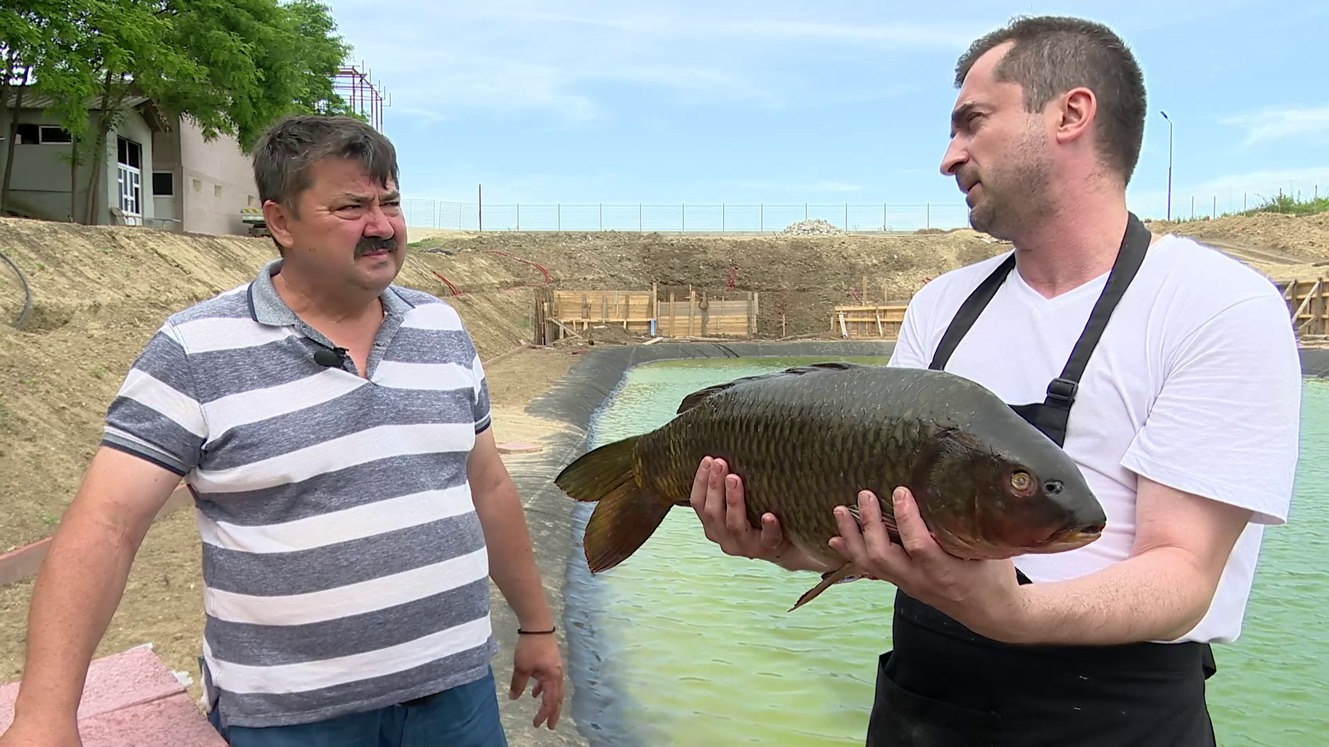 Pensiunile din zona de munte își amenajează crescătorii de pește. Apelează la firme specializate