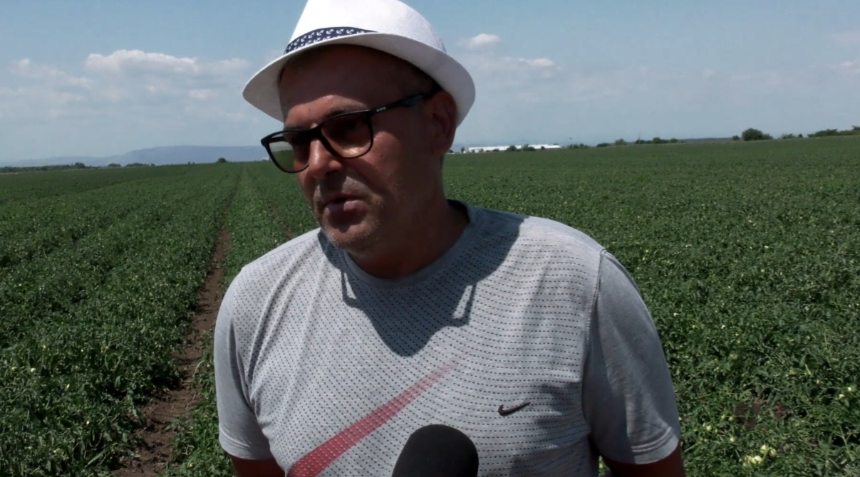 VIDEO Fermierii buzoieni, ruinați de prețul prohibitiv al motorinei