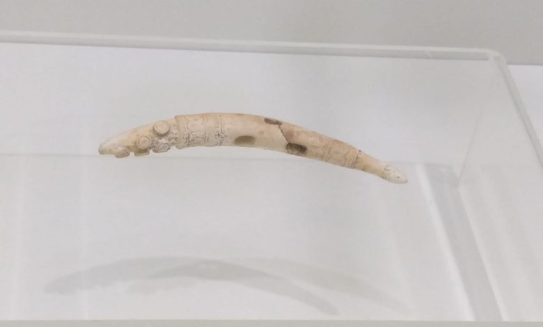 Artefact descoperit în Buzău, cerut în expoziții din Statele Unite ale Americii și Canada