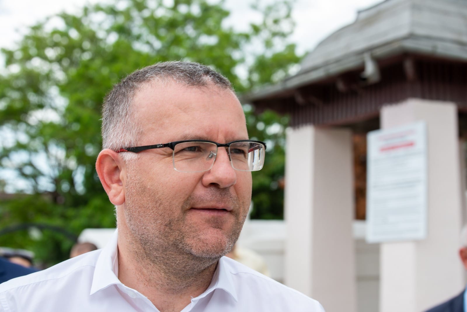Urșii României, relocați în pădurile din vestul Europei. Ideea îi aparține prefectului Țiclea