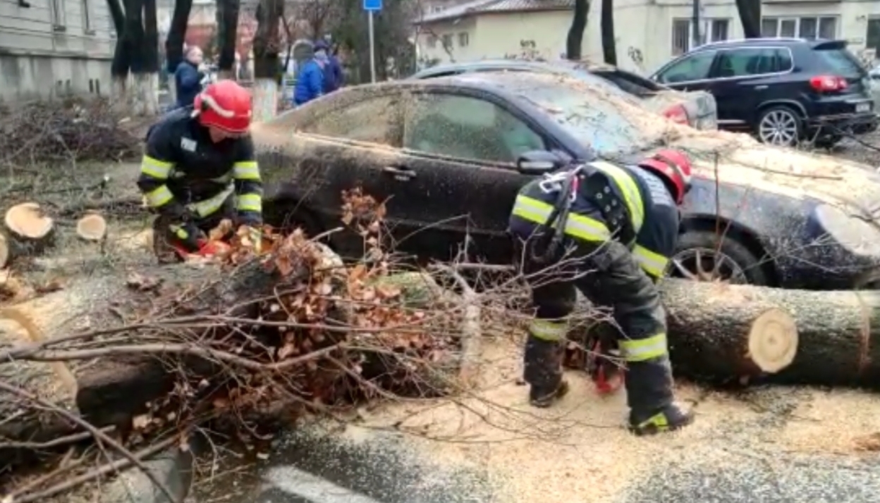 VIDEO Vreme extremă cu vijelii puternice la Buzău. Vântul a doborât un copac peste 4 mașini și a avariat mai mulți conductori electrici