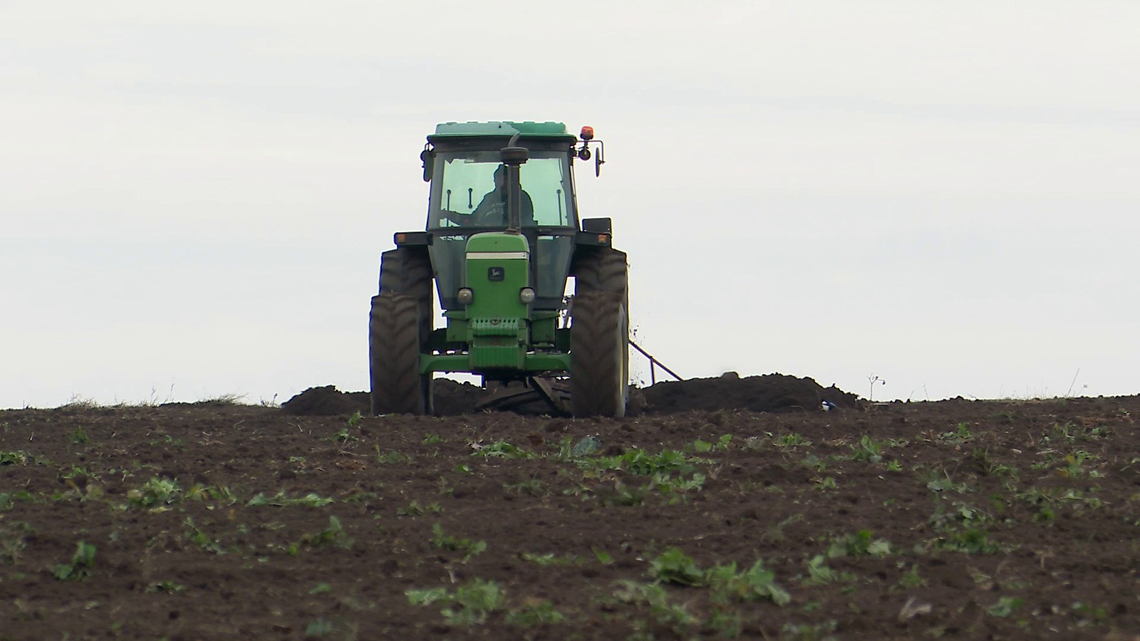 O secetă istorică ameninţă grâul românesc. Ce îi sperie acum pe agricultorii buzoieni