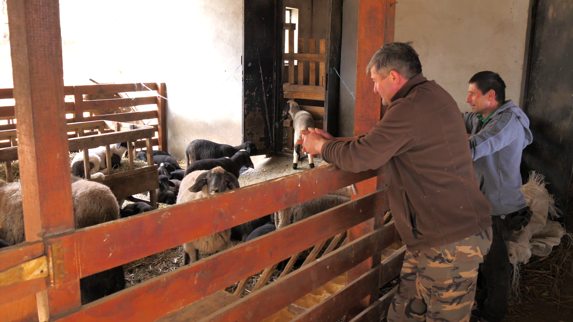 O fermă cu zeci de animale invită turiștii să petreacă Paștele ca-n ograda bunicilor