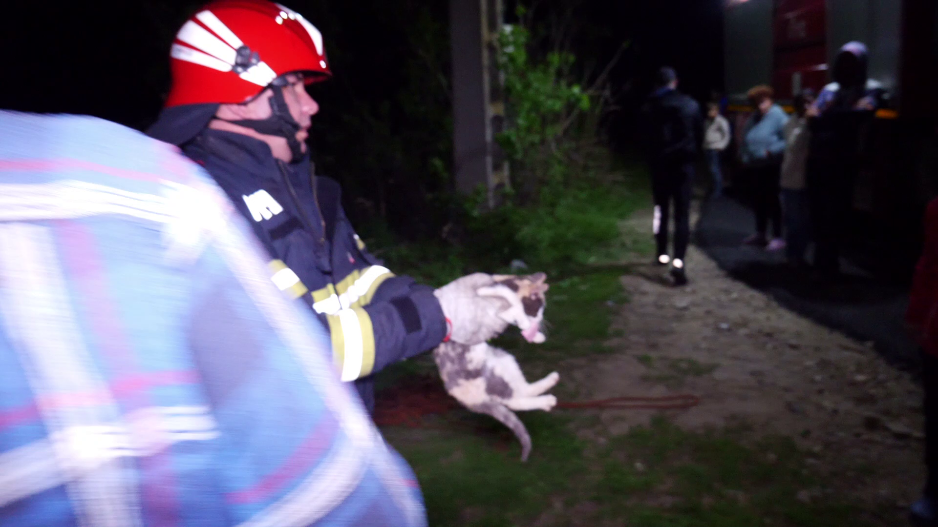 VIDEO Pisică salvată dintr-o fântână în care a fost captivă peste două săptămâni