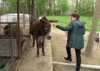 Fermele cu restaurante proprii, din Buzău, asaltate de turiști. Mâncărurile sunt gătite lent, în cuptor cu lemne