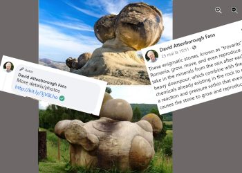 „Pietrele vii” din munții Buzăului uimesc mapamondul grație fanilor celebrului David Attenborough