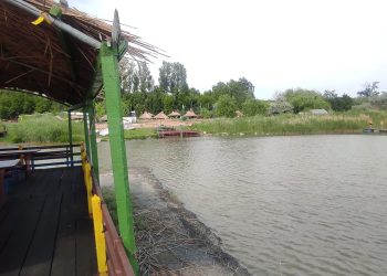 Cum a reușit un instructor de călărie să facă din echitație o metodă de terapie antistres