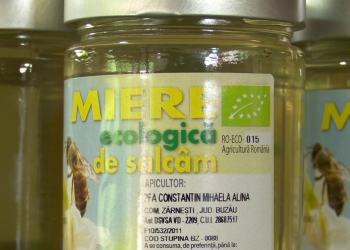 De ce mierea de salcâm este mai scumpă decât celelalte tipuri de miere. Ar putea costa și mai mult anul acesta