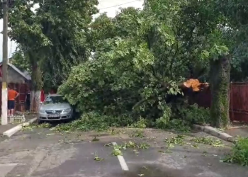 VIDEO Femeie rănită în timpul furtunii care a măturat orașul Buzău. Mai multe mașini au fost avariate