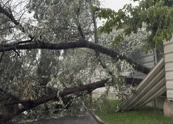 Copaci rupți și străzi inundate, în Buzău, după o furtună de 30 de minute