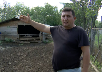 Locuitorii din Aldeni sunt terorizați de urși, de peste trei săptămâni