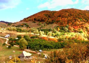 Sursa Radu Ifitnoiu