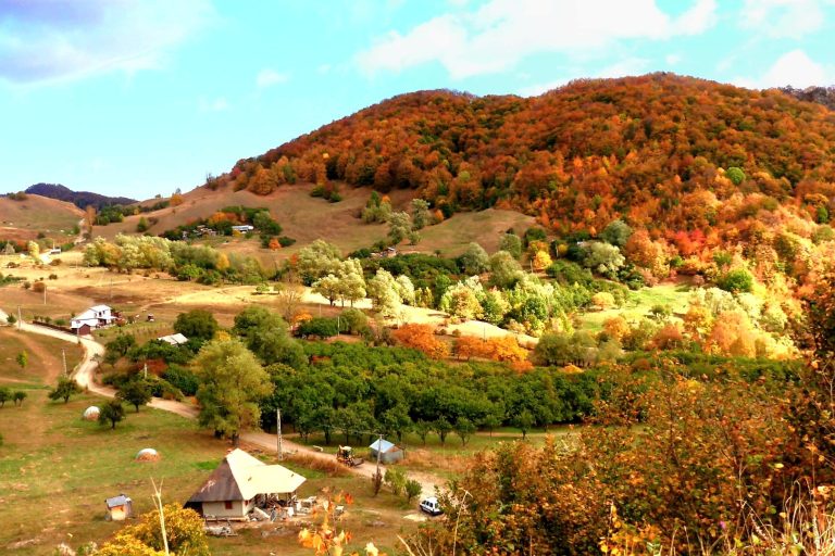 Sursa Radu Ifitnoiu
