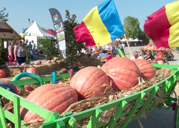 VIDEO Festival pentru promovarea dovleacului, bun pentru supe, tocănițe și plăcinte