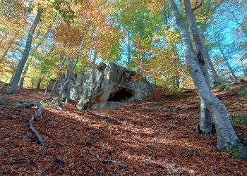 Așezarea rupestră misterioasă descoperită recent într-o pădure din apropierea Athosului buzoian