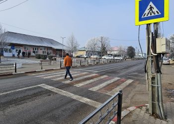 Cinci elevi din Smeeni, luați pe capotă de un autoturism, după ce au coborât din microbuzul școlar