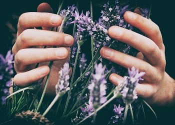 Remedii la domiciliu: care sunt beneficiile aromaterapiei?
