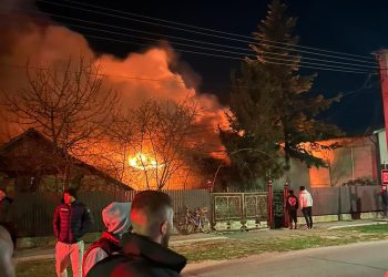 VIDEO Incendiu violent soldat cu doi morți, în localitatea Stâlpu