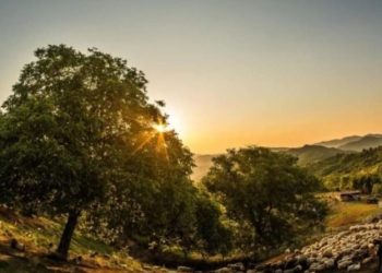 Susține cu un vot Geoparcul UNESCO Ținutul Buzăului în competiția „Destinația anului 2024” la categoria „Tărâmuri cu tradiție și istorie”