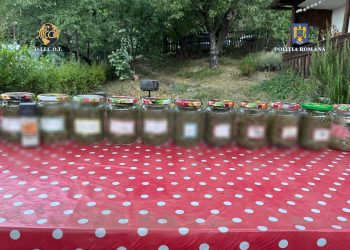 O familie de bucureșteni s-a mutat în Munții Buzăului, ca să producă droguri departe de ochii lumii