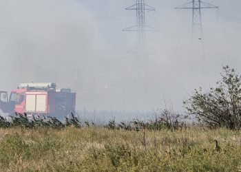 VIDEO Incendiu de vegetație uscată în zona industrială a municipiului Buzău, cu risc de propagare la clădiri