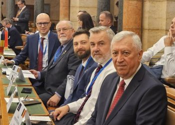 Deputatul PSD de Buzău, Andi Cristea: „Mândru să conduc delegația României la Budapesta!”