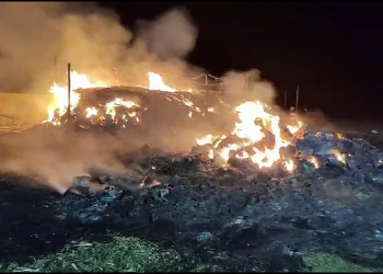 VIDEO Incendiu devastator la o fermă din Zoița. Zeci de animale rămase fără hrană în prag de iarnă