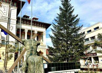 Brad de Crăciun simbolic, instalat în centrul municipiului Buzău