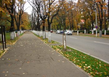 Privat: Trafic restricționat pe B-dul Nicolae Bălcescu, în zilele de votare pentru alegerile prezidențiale și parlamentare